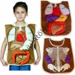 Kumaş Organ Önlük - Görsel 3