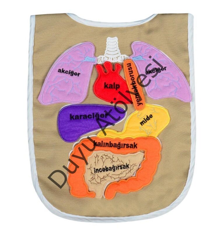Kumaş Organ Önlük - Görsel 1